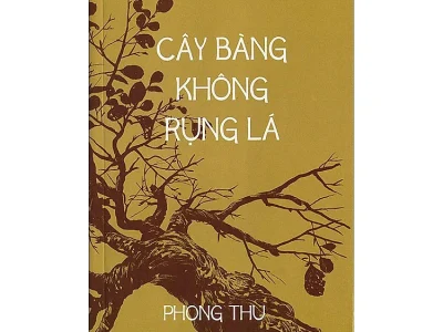 Cây bàng không  rụng lá – Phong Thu