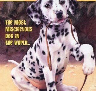 Teacher’s pet – Jenny Dale