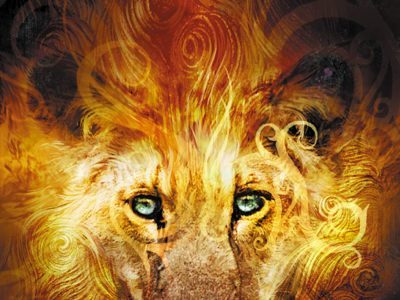 The chronicles of Narnia – C. S. Lewis