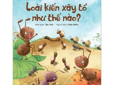 Loài kiến xây tổ như thế nào?