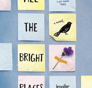 All the bright places – Jennifer Niven