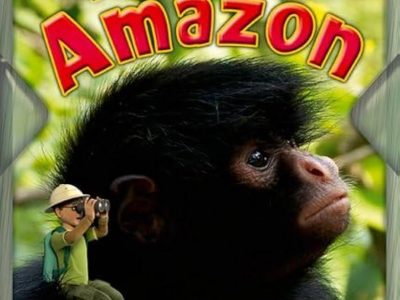 The Amazon – Deborah Chancellor