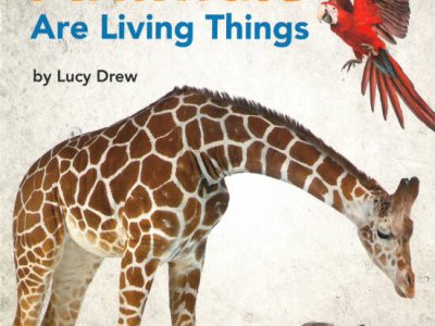 Baby’s first book for ages 3 months – 2 years: Animals living things
