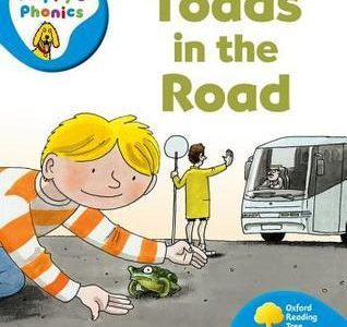 Toads in the road
