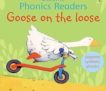 Goose on the loose – Phil Roxbee Cox