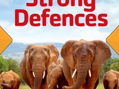 Strong defences – Haydn Middleton