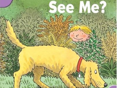 Can you see me? – Stage 1+: First phonics
