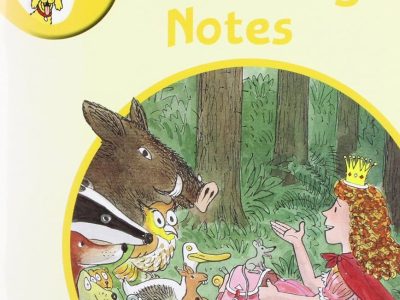 Teaching notes – Floppy’s phonics: Stage 5 – Kate Ruttle