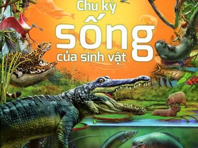 Chu kỳ sống của sinh vật vùng nước ngọt – Graph – Art KFT