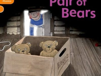 A rare pair of bears