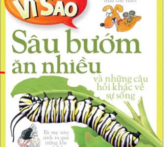 Sâu bướm ăn nhiều và những câu hỏi khác về sự sống – Belinda Weber