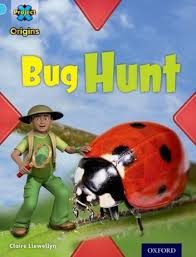 Bug hunt – Claire Llewellyn