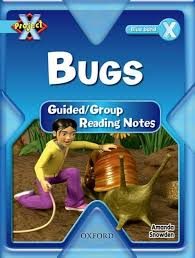 Bugs: Guided/Group reading notes – Amanda Snowden