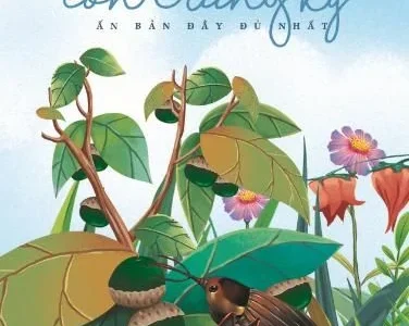 Côn trùng ký: Ấn bản đầy đủ nhất – Tập 4 – Jean-Henri Fabre