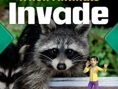 When animals invade – Chloe Rhodes