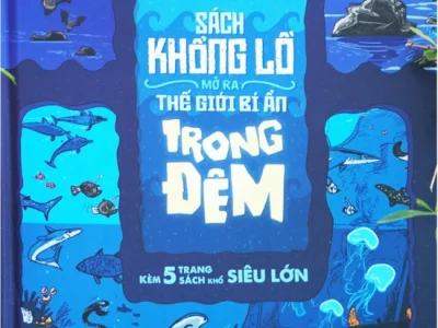 Sách khổng lồ mở ra thế giới bí ẩn trong đêm