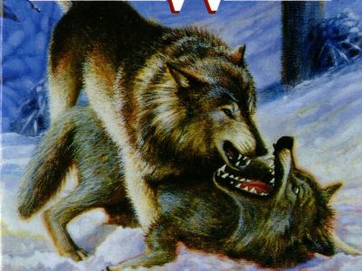 The call of the wild – Jack London