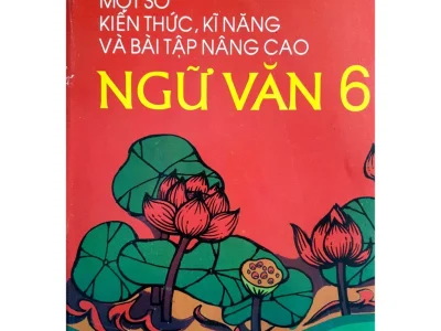 Kiến thức – kĩ năng và bài tập nâng cao Ngữ văn 6 – Nguyễn Thị Mai Hoa, Đinh Chí Sáng