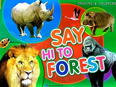 Say Hi to Forest – Lương Ngân, Hồng Lam