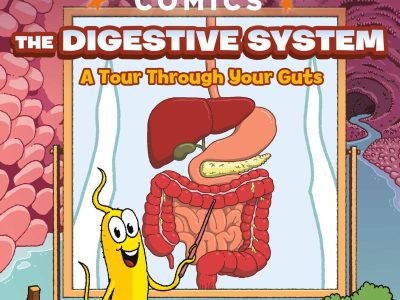 Science Comics: The Digestive System: A Tour Through Your Guts
