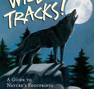 Wild tracks!: A guide to nature’s footprints – Jim Arnosky