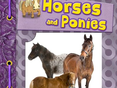 Horses and ponies – Paul Mason