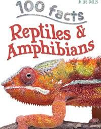 Reptiles & amphibian – Ann Kay