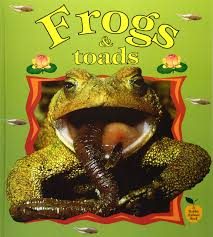 Frogs & toads – Bobby Kalman