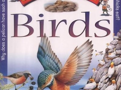 Birds – Angela Wilkes