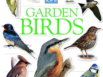 Garden birds