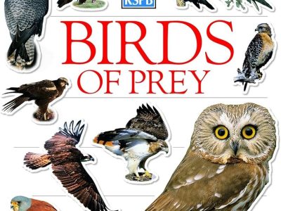 Birds of prey
