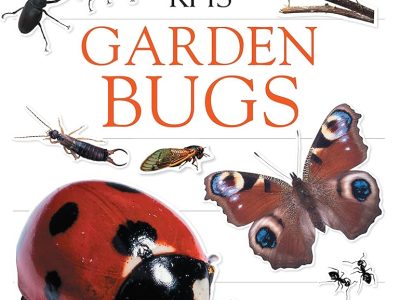 Garden bugs