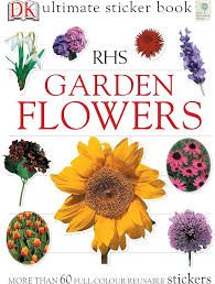 Garden flowers