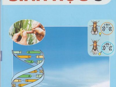Sinh học 9 – Nguyễn Quang Vinh (tổng ch.b.), Vũ Đức Lưu (ch.b.), Nguyễn Minh Công, Mai Sỹ Tuấn