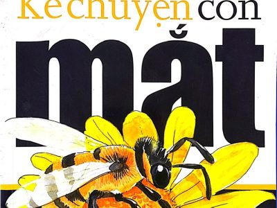 Kể chuyện con mắt – Nguyễn Quốc Tín, Tô Ngọc Trang