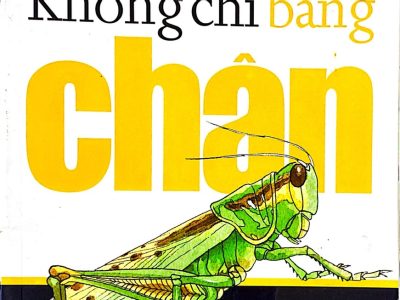 Không chỉ bằng chân – Nhữ Nguyên, Tô Ngọc Trang
