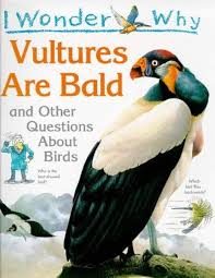 I wonder why vultures are bald, and other questions about birds – Amanda O’Neill