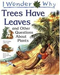 I wonder why trees have leaves, and other questions about plants – Andy Charman