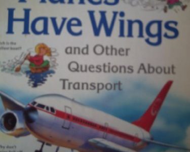 I wonder why planes have wings and other questions about transport – Christopher Maynard