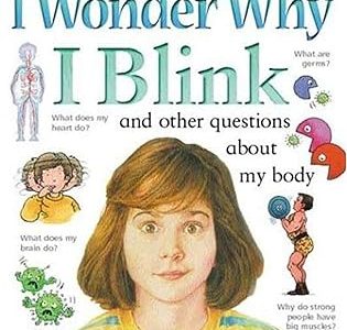 I Wonder Why I Blink – Brigid Avison