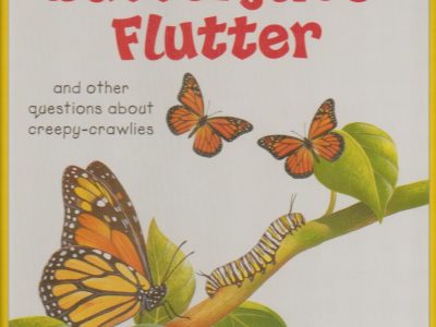 I wonder why butterflies flutter – Amanda O’Neill