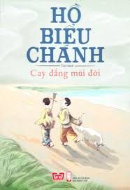 Cay đắng mùi đời – Hồ Biểu Chánh