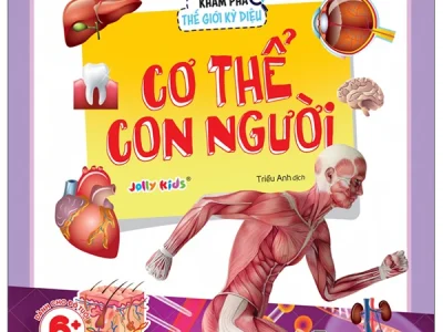 Cơ thể con người – Jolly Kids