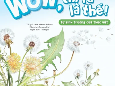 Wow, thì ra là thế! Sự sinh trưởng của thực vật – Little Newton Science Educatin Company Ltd