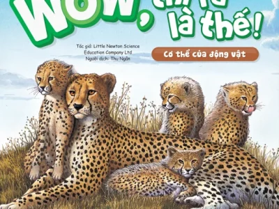 Wow, thì ra là thế! Cơ thể của động vật – Little Newton Science Educatin Company Ltd