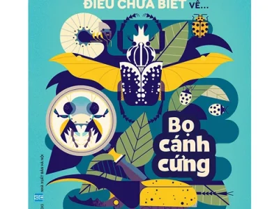 Những điều chưa biết về… Bọ cánh cứng – Owen Davey