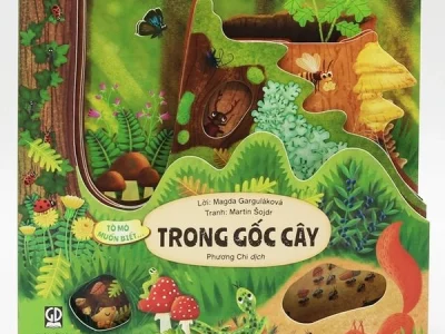 Tò mò muốn biết… trong gốc cây