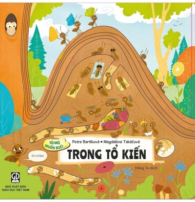 Tò mò muốn biết… trong tổ kiến