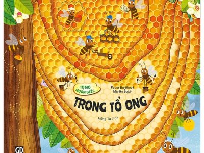 Tò mò muốn biết… trong tổ ong