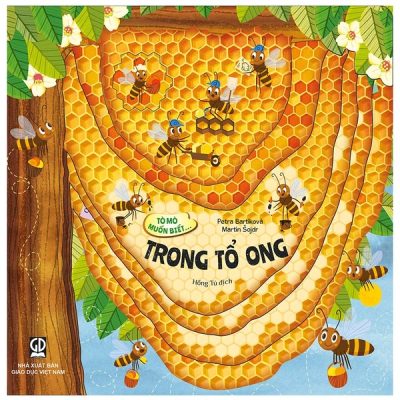 Tò mò muốn biết… trong tổ ong